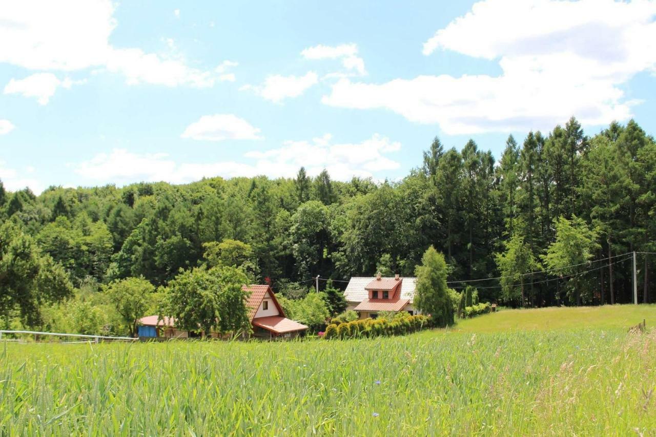Vila Ranczo W Dolinie Karpia - Blisko "Energylandii" Zator Spytkowice  Exteriér fotografie